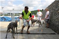 Greyhound_Park_Motol_Prague_CGDF_IMG_7837.JPG