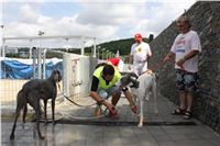 Greyhound_Park_Motol_Prague_CGDF_IMG_7838.JPG