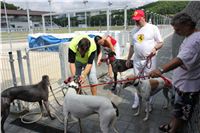 Greyhound_Park_Motol_Prague_CGDF_IMG_7849.JPG