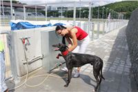 Greyhound_Park_Motol_Prague_CGDF_IMG_7851.JPG