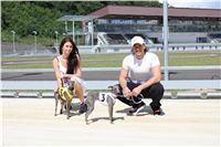 Italian_Greyhound_Track_Record_CGDF_IMG_8334.JPG
