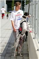 Test_Greyhound_Park_Motol_CGDF_DSC_7471.jpg