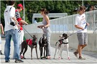 Test_Greyhound_Park_Motol_CGDF_DSC_7475.jpg