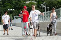 Test_Greyhound_Park_Motol_CGDF_DSC_7482.jpg