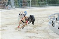 Test_Greyhound_Park_Motol_CGDF_DSC_7551.jpg