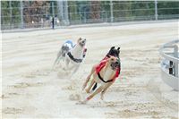 Test_Greyhound_Park_Motol_CGDF_DSC_7552.jpg