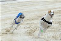 Test_Greyhound_Park_Motol_CGDF_DSC_7554.jpg