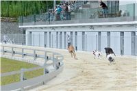 Test_Greyhound_Park_Motol_CGDF_DSC_7558.jpg