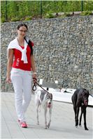 Test_Greyhound_Park_Motol_CGDF_DSC_7593.jpg