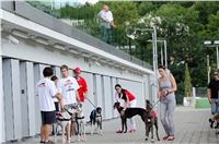 Test_Greyhound_Park_Motol_CGDF_DSC_7598.jpg