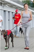 Test_Greyhound_Park_Motol_CGDF_DSC_7605.jpg