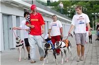 Test_Greyhound_Park_Motol_CGDF_DSC_7608.jpg