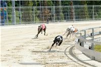 Test_Greyhound_Park_Motol_CGDF_DSC_7620.jpg