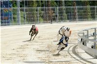 Test_Greyhound_Park_Motol_CGDF_DSC_7621.jpg