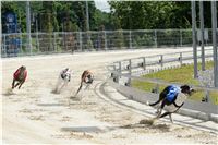 Test_Greyhound_Park_Motol_CGDF_DSC_7622.jpg