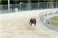 Test_Greyhound_Park_Motol_CGDF_DSC_7691.jpg