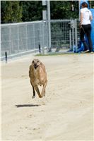 Test_Greyhound_Park_Motol_CGDF_DSC_7902.jpg