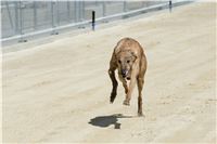 Test_Greyhound_Park_Motol_CGDF_DSC_7906.jpg