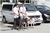 Test_Greyhound_Park_Motol_CGDF_IMG_8005.JPG