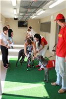 Test_Greyhound_Park_Motol_CGDF_IMG_8040.JPG