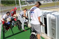 Test_Greyhound_Park_Motol_CGDF_IMG_8056.jpg