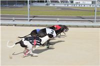 Test_Greyhound_Park_Motol_CGDF_IMG_8068.jpg