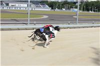 Test_Greyhound_Park_Motol_CGDF_IMG_8069.JPG