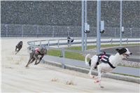 Test_Greyhound_Park_Motol_CGDF_IMG_8077.JPG