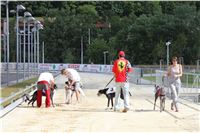 Test_Greyhound_Park_Motol_CGDF_IMG_8087.JPG