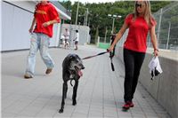 Test_Greyhound_Park_Motol_CGDF_IMG_8106.JPG