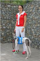 Test_Greyhound_Park_Motol_CGDF_IMG_8126.JPG