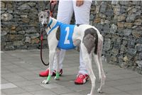 Test_Greyhound_Park_Motol_CGDF_IMG_8128.JPG