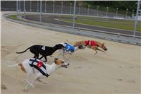 Test_Greyhound_Park_Motol_CGDF_IMG_8139.jpg