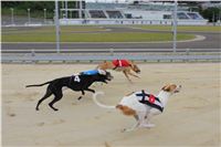 Test_Greyhound_Park_Motol_CGDF_IMG_8140.JPG