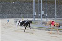 Test_Greyhound_Park_Motol_CGDF_IMG_8151.JPG