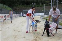 Test_Greyhound_Park_Motol_CGDF_IMG_8156.JPG