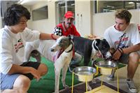 Test_Greyhound_Park_Motol_CGDF_IMG_8195.JPG