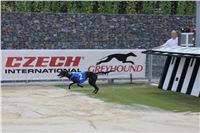 Test_Greyhound_Park_Motol_CGDF_IMG_8227.JPG