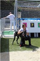 Test_Greyhound_Park_Motol_CGDF_IMG_8415.JPG