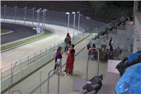 night_test_race_Greyhound_Park_Motol_IMG_8640.JPG