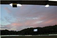 night_test_race_Greyhound_Park_Motol_IMG_8644.JPG