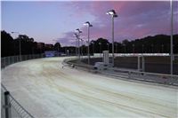 night_test_race_Greyhound_Park_Motol_IMG_8650.JPG