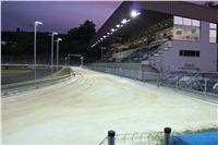 night_test_race_Greyhound_Park_Motol_IMG_8661.JPG