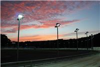 night_test_race_Greyhound_Park_Motol_IMG_8663.JPG