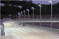 night_test_race_Greyhound_Park_Motol_IMG_8679_v.JPG