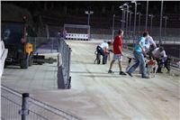 night_test_race_Greyhound_Park_Motol_IMG_8688.JPG