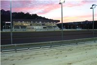 night_test_race_Greyhound_Park_Motol_IMG_8689.JPG