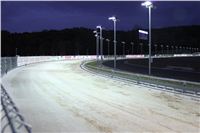 night_test_race_Greyhound_Park_Motol_IMG_8703.JPG