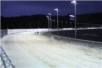 night_test_race_Greyhound_Park_Motol_IMG_8709.JPG