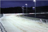 night_test_race_Greyhound_Park_Motol_IMG_8710.JPG